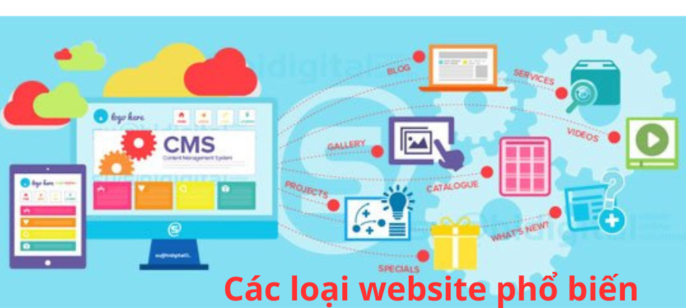 Các loại website phổ biến hiện nay